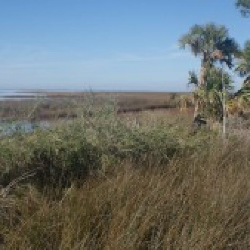 Along the shores of Florida's St. Joseph Bay, where the Coastal Barrier Resources System helps to protect the area from unwise development while also saving taxpayer money.